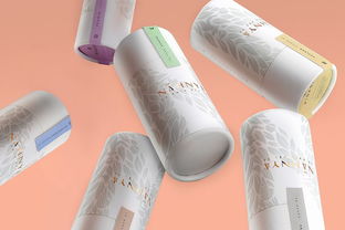 日用品包裝與廚具衛(wèi)具批發(fā) 現(xiàn)代生活中的商業(yè)機(jī)遇